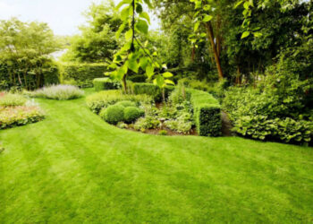 Јавни позив за избор најљепше уређеног дворишта