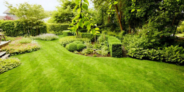 Јавни позив за избор најљепше уређеног дворишта